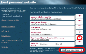 Picture of 'best personal website' ballot.